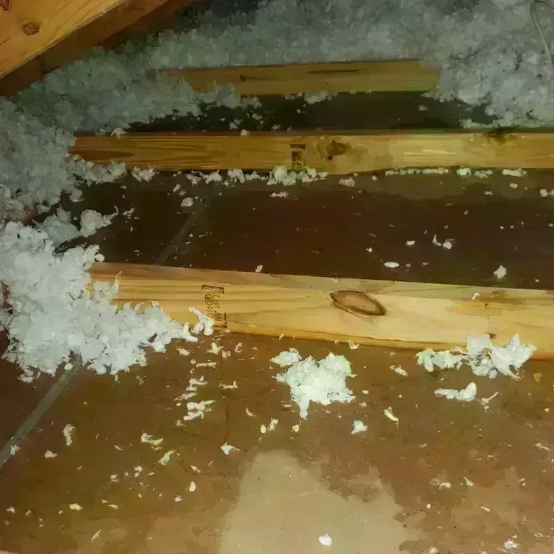 Attic Water Damage in Palmyra, VA